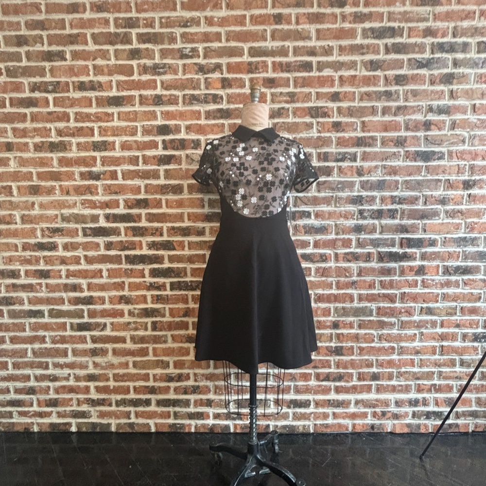 Lace Bodice Fit and Flare Dress